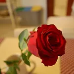 بيت ضيافة La Rosa Scarlatta Broseta بيرغامو